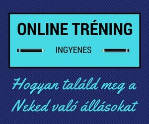 hogyan-talald-meg-a-neked-valo-allast